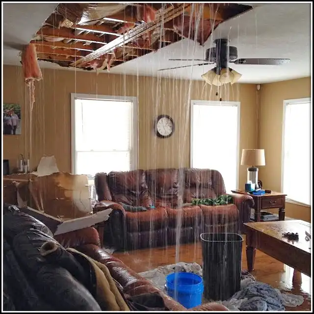 Water Damage Restoration services in Vidor, TX