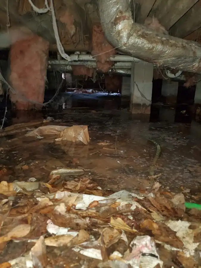 Crawl space flood assessment for Leak Detection & Repair in Vidor